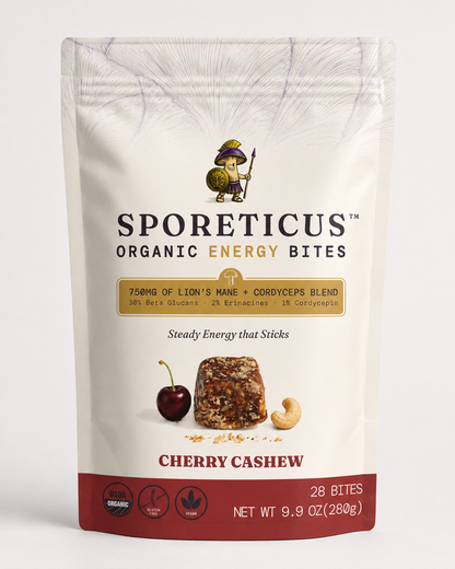 Daily Momentum Organic Energy Bites