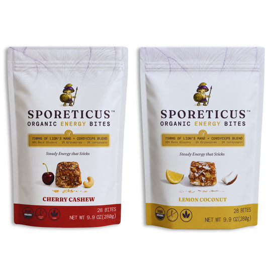 Daily Momentum Organic Energy Bites